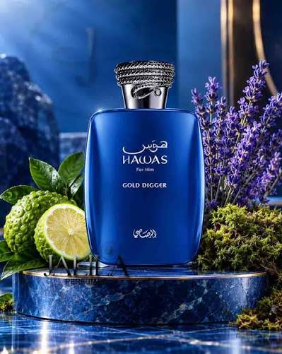 HAWAS GOLD DIGGER EDP 100ML-gemello di ultra male-Pera, Menta, Lavanda e Bergamotto;Cannella e Salvia;Vaniglia, Ambra, Legno di Cedro e Patchouli.