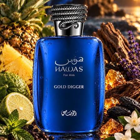 HAWAS GOLD DIGGER EDP 100ML-gemello di ultra male-Pera, Menta, Lavanda e Bergamotto;Cannella e Salvia;Vaniglia, Ambra, Legno di Cedro e Patchouli.